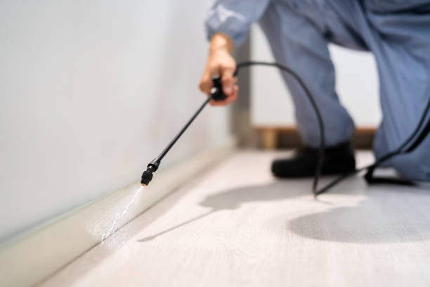 Licensed Fumigation Services service in Kansas, KS - Nex Pest Control